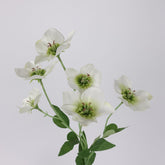 Artificial Hellebore Spray 60cmH in White